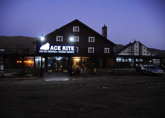 Ace Kite * Comakli (Kayseri)